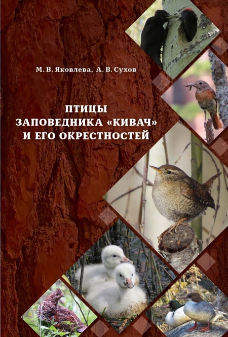 ����� ����������� ������� � ��� ������������ 