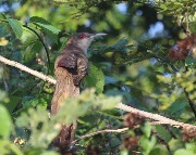 IMG_1331.JPG