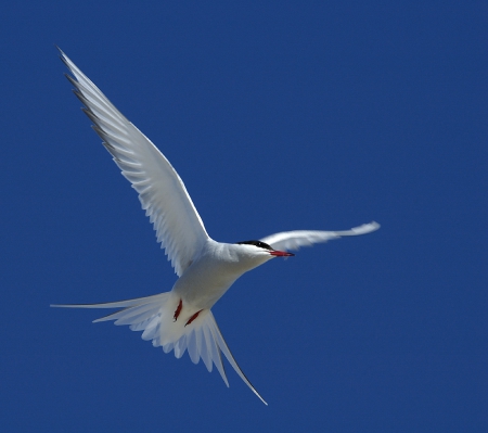 ����������  �������� "�������� �������" ������� ���� �������� �������� ������