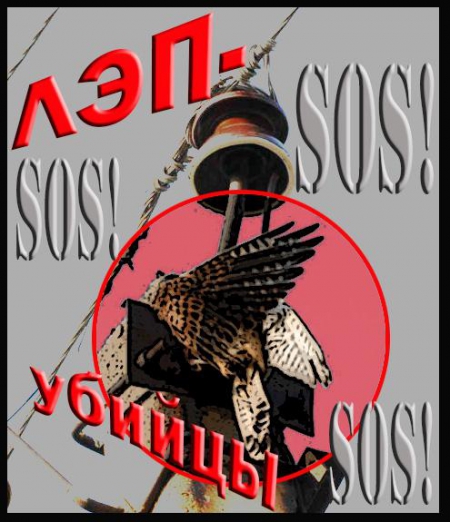 ������������ ��� � ������ 