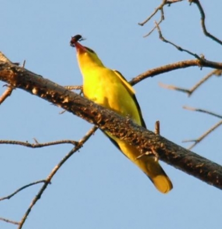 �����-2011: ���� �� ����. 9 ���