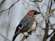 DSCN0692.JPG