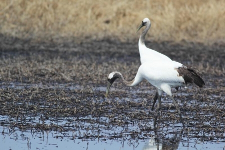 ������� �������� ������� �������� �������� �������� �������� �� ����-���������.