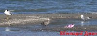IMG_2588