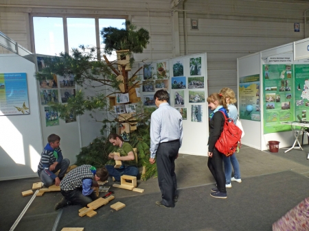 ���� �� �������� ������