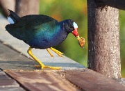 IMG_3067.JPG