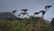 IMG_1253.JPG