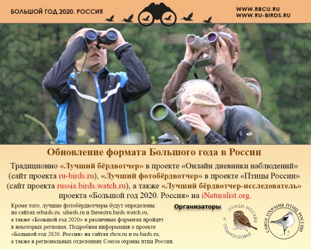 ������� ��� - 2020, ������ 