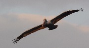 IMG_1769.JPG