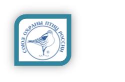 �������� �������� ������������ ������  ����� ������ ���� ������