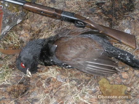 �������������� ���� ����������� � ���� ���� ������������ �� ����� �� ������� ����