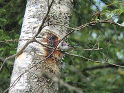 IMG_5672.JPG