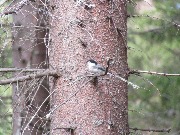IMG_4190.JPG