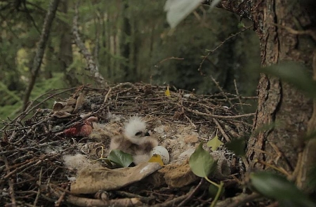 ������� ������� ������ ��������� � ��������
