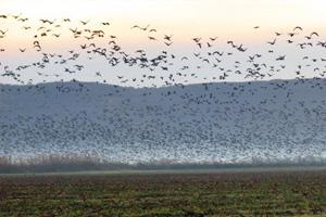 ��������� ��������� ���� �� ���������� ��������� ������� ����