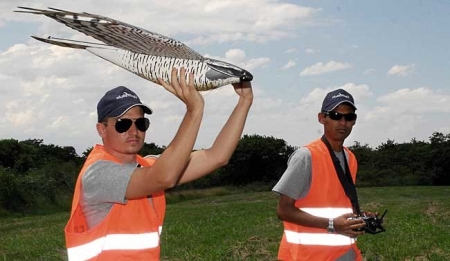 �����-����� ����� ���������� ����