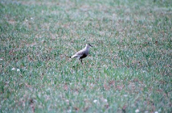 ������ ����� ����� ����������� �������� � ������ ������� � ��������� ����