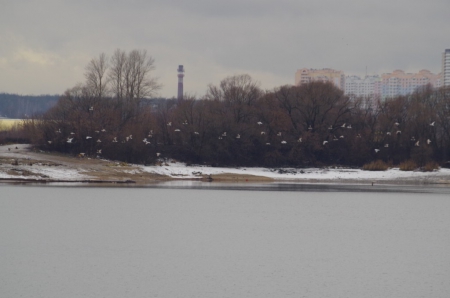 ��������� ����� ������������ ����� ������������� �� �. ������