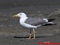 IMG_2577