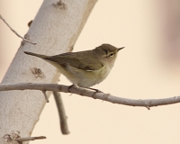 IMG_6692.JPG