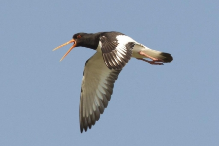 �����-2013: ���� �� ����. ����������