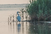 DSC_0614.jpg