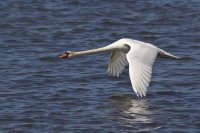IMG_1756