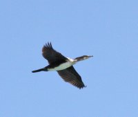 IMG_3648