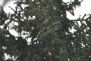 DSC_0030.JPG