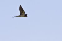 IMG_1777