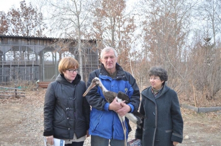 ������ �������� ������� �� �������