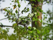 IMG_5685.JPG