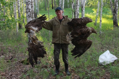 �������� �� ������� �� ������