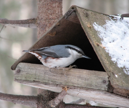 ����� � ������ ���� 