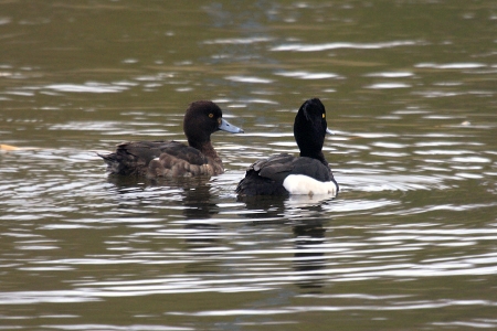 �����-2019: ���� �� ����, 20 �����