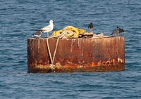 IMG_6024.JPG