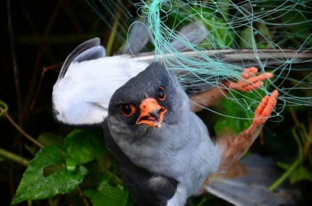 �������� ����������� �������� �������� �� ������ �����