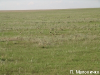 DSC06500.JPG