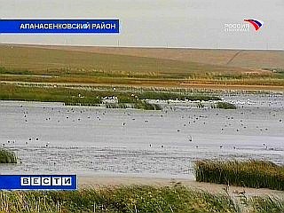 �������� "�����-������"  ������ ������ ���� �������� �����������