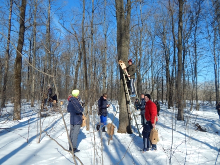 � ������������� ���� ���� ��������� ������ ������ � ������� ���������� ����������� � ��������� �� � ���� �������