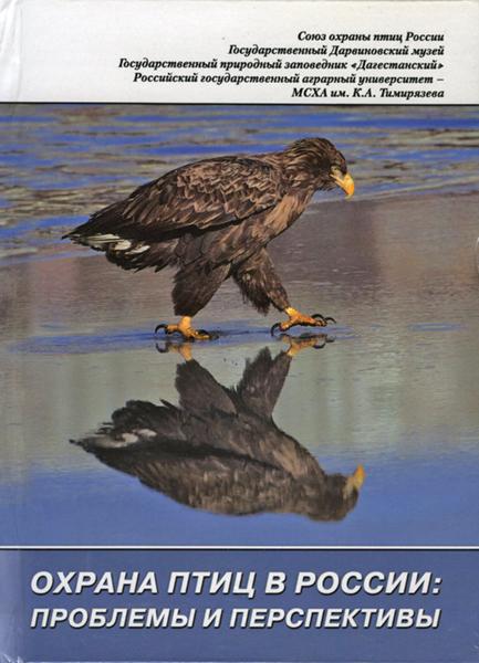 ������ ���� � ������: �������� � �����������