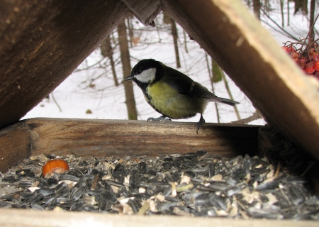 ������ ����������� ������!