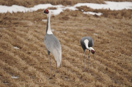 �������� �������� �������, ���������� � ������� 10 ��� ����� 