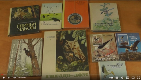 ���������� ������ ���������� - ���������, ��������-���������, ��������