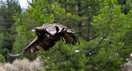 ���������� �� ���������� ��������� ����� ������ ���� ������