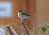 IMG_5782.JPG