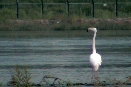 ������� ��������  ��������� � ��������� ��� ������������ 