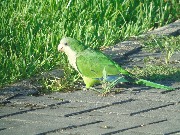 DSC00601-min.JPG