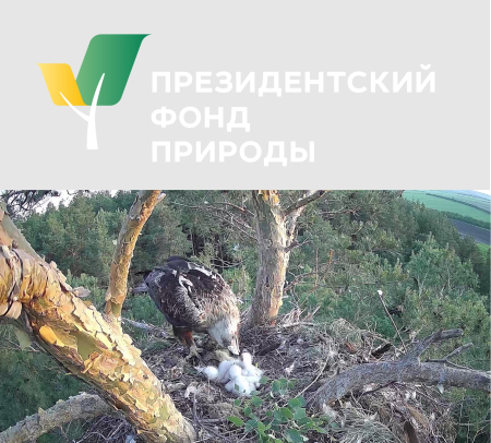 ��������� ������� � ������ ����� ���������� ������������� ������ �������