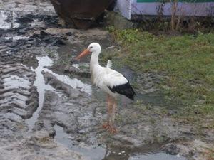 � ��������� ��������� ����